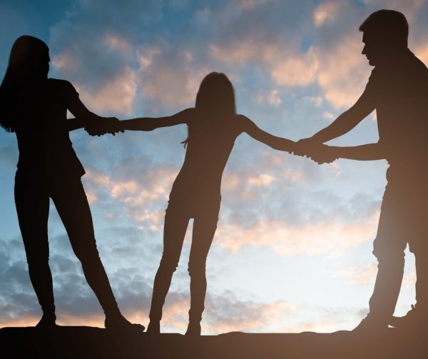 High Conflict Parenting • Co-Parenting • High Conflict Parenting • Affordable Online Classes • Court Ordered Classes • Mandatory Training • affordablemandatoryclasses.com