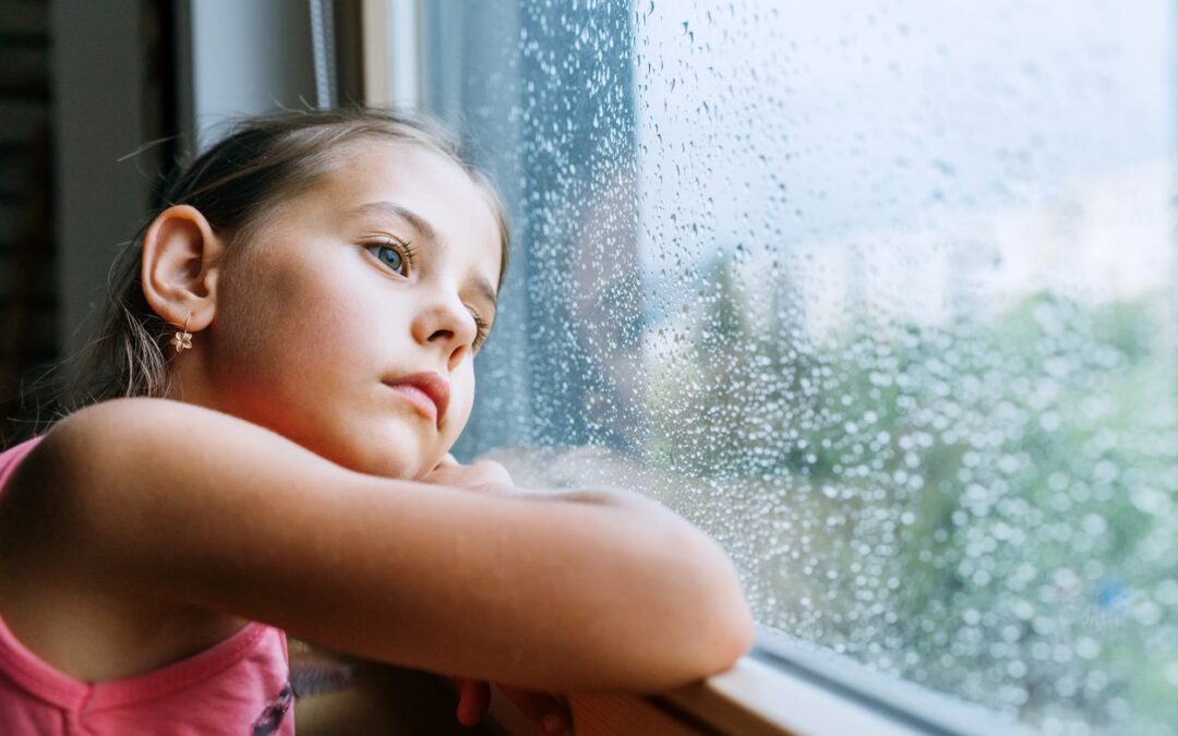 Child Abuse Facilitator Certification Program • Affordable Online Classes • Court Ordered Classes • Mandatory Training • affordablemandatoryclasses.com