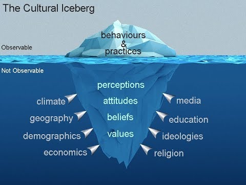 Cultural Iceberg • Affordable Online Classes • Court Ordered Classes • Mandatory Training • affordablemandatoryclasses.com
